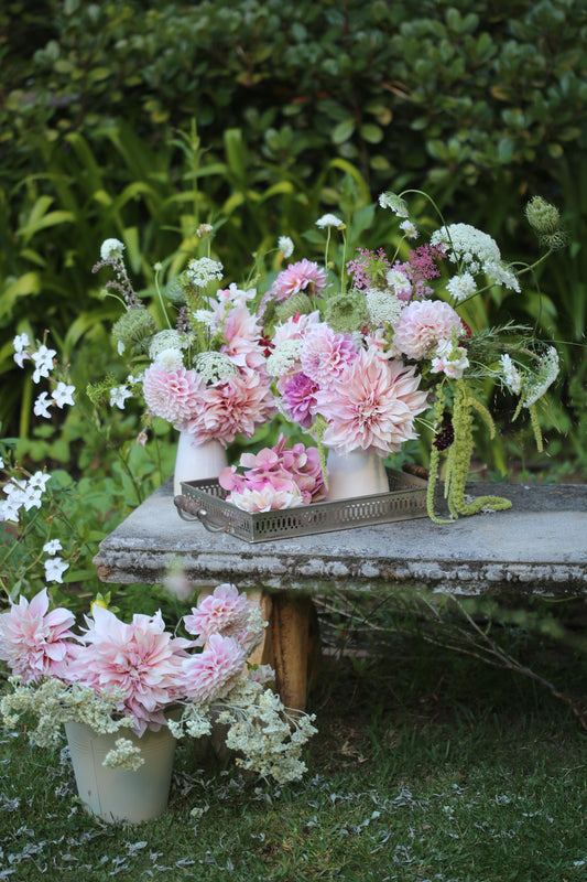 Pick Your Own Flowers