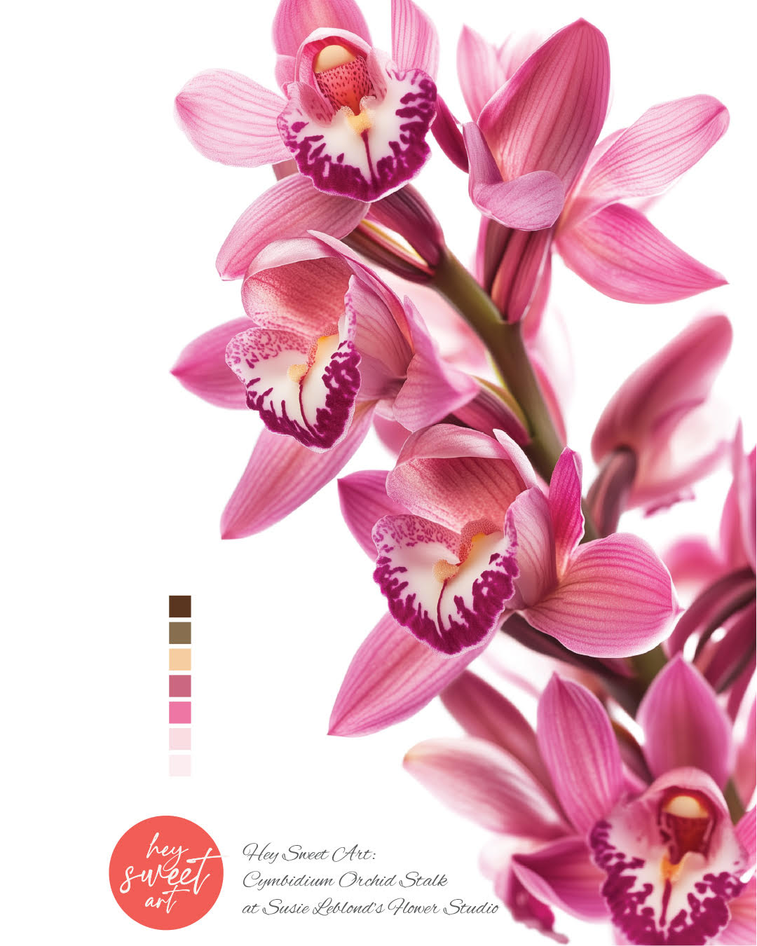 Flourish & Bloom: Spring Watercolour Workshop with Candice Christie