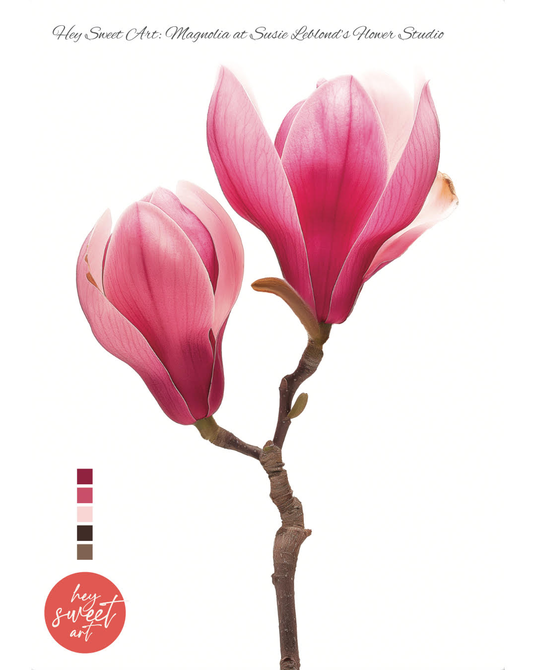 Flourish & Bloom: Exploring Watercolours with Candice Christie