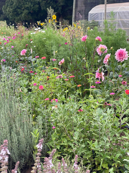 The Flower Gardener's Guide: From Seed to Bloom