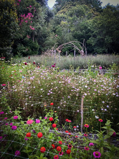 Blossoming Ideas: Botanical Banter with Cherise & Susie