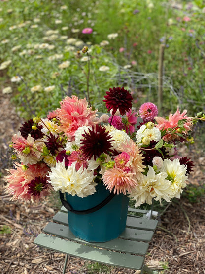 Dahlia Pick and Arrange Workshop