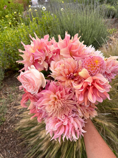 Dahlia Pick and Arrange Workshop