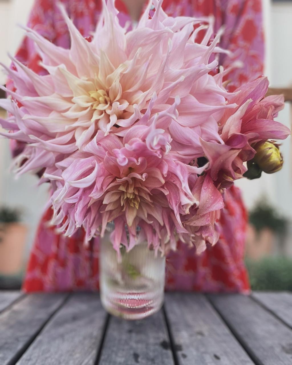 Dahlia Pick and Arrange Workshop