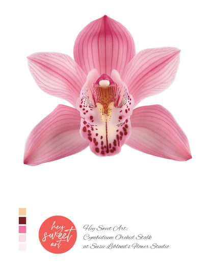 Flourish & Bloom: Spring Watercolour Workshop with Candice Christie