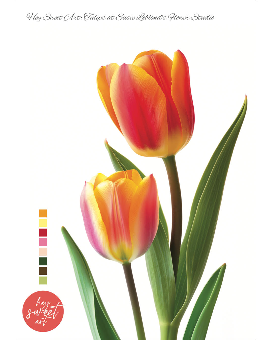 Flourish & Bloom: Exploring Watercolours with Candice Christie